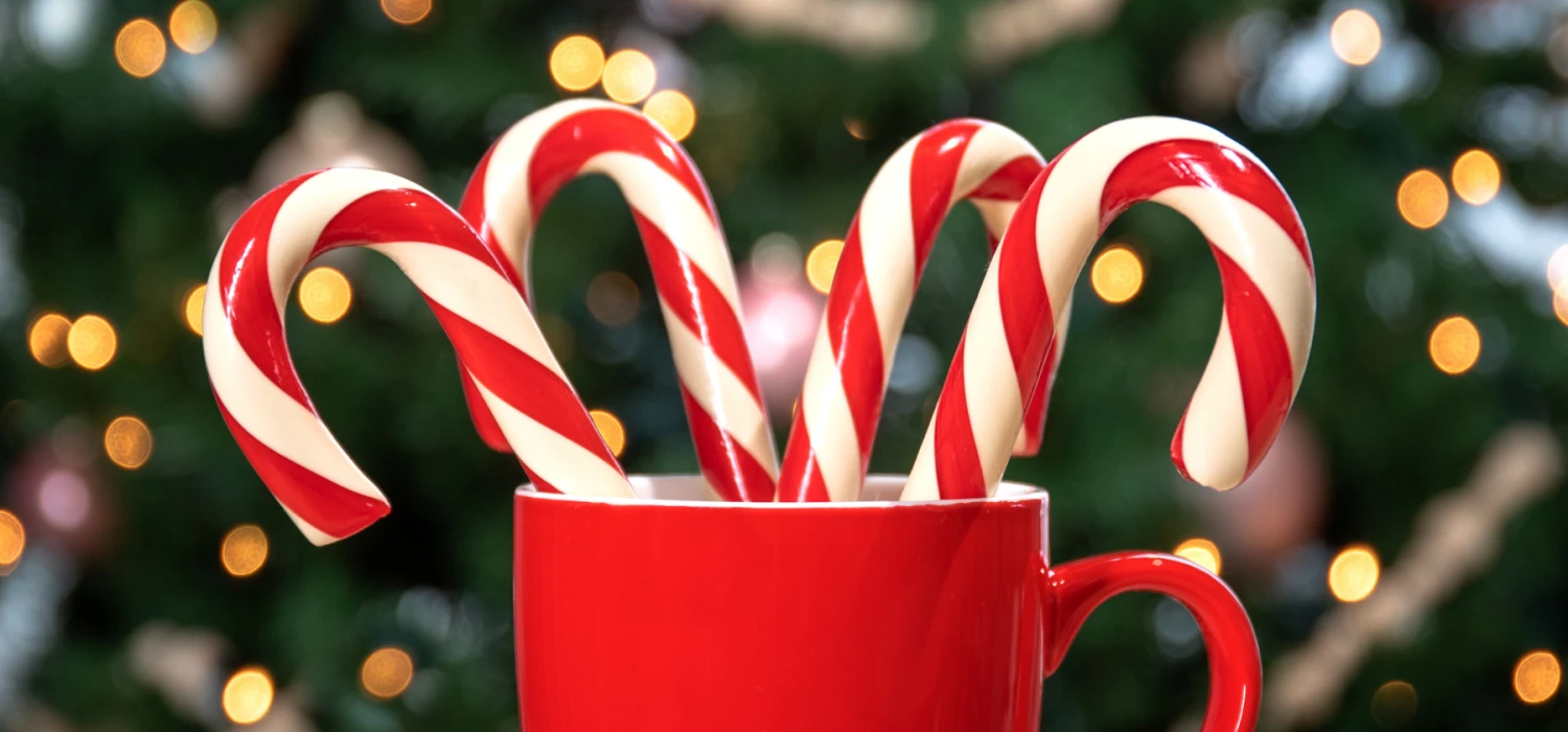 Bubble Gum Candy Canes 4 Bubble Gum Candy Canes - Image 4