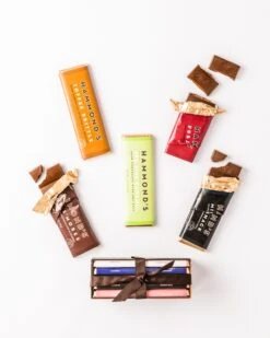 Chocolate Bar 5-Pack -Food - Candy H8 ChocolateBar5Pack Hammonds McReavy 3