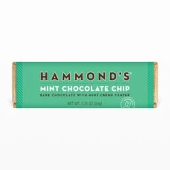 Mint Chocolate Chip Chocolate Bars