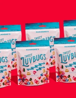 Hammond's Sweet Luvbugs -Food - Candy Screenshot2023 11 20at1.34.33PM