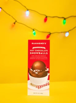 Peppermint Hot Chocolate Snowballs -Food - Candy Screenshot2024 01 04at4.21.06PM