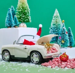 Peppermint Pillows Gift Bag Bundles 6 Peppermint Pillows Gift Bag Bundles -Food - Candy Screenshot2024 01 04at4.27.30PM